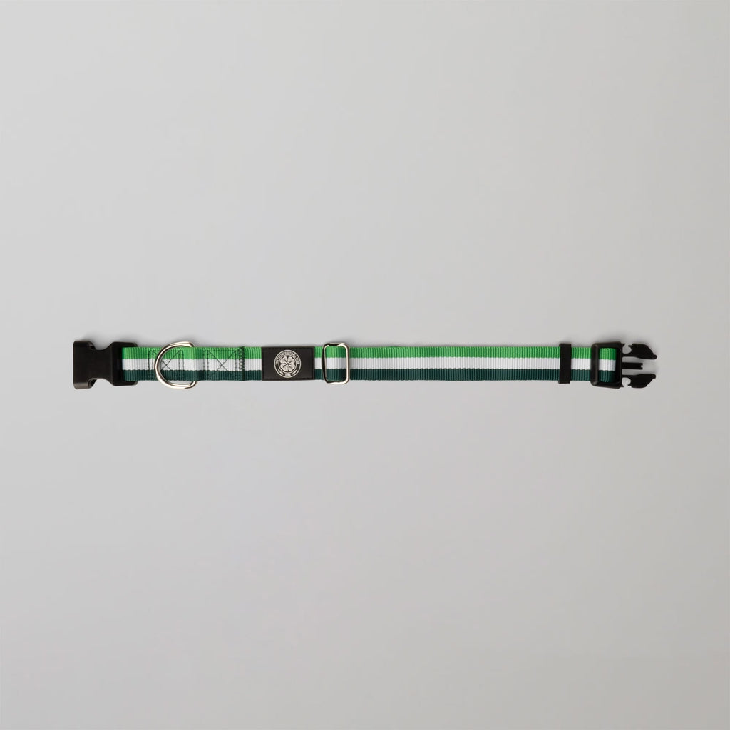 Celtic Green Stripe Dog Collar and Lead Set